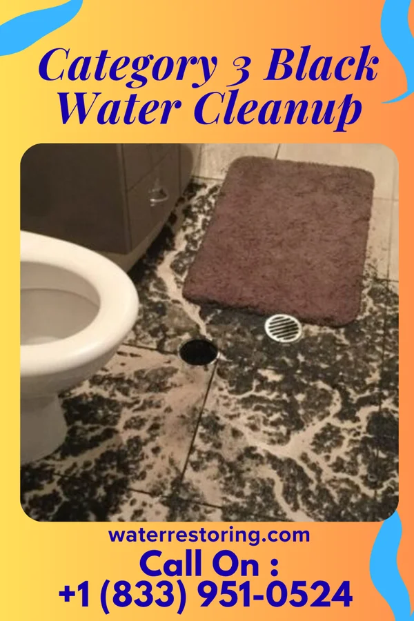 Category 3 Black Water Cleanup in Miami Heights, OH
