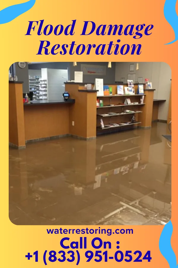 Flood Damage Restoration in Miami Heights, OH