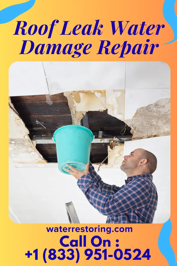 Roof Leak Water Damage Repair in Miami Heights, OH