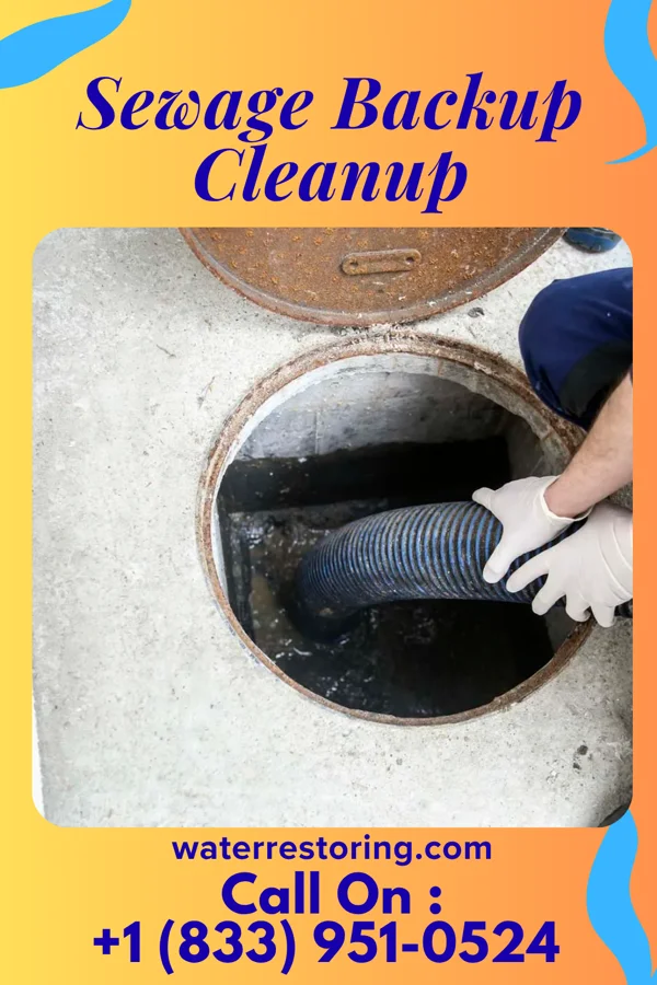 Sewage Backup Cleanup in Miami Heights, OH